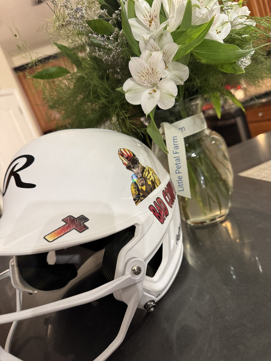Sports Fan Helmet Decals