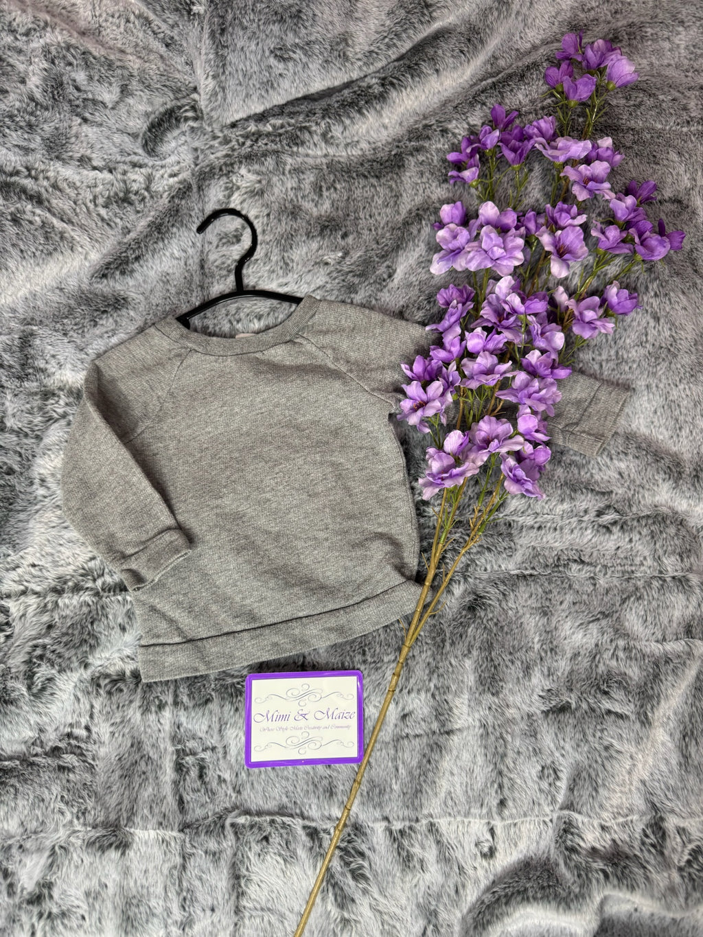 Graphic Sweatshirt by Carters